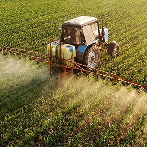 Agric Production Loan